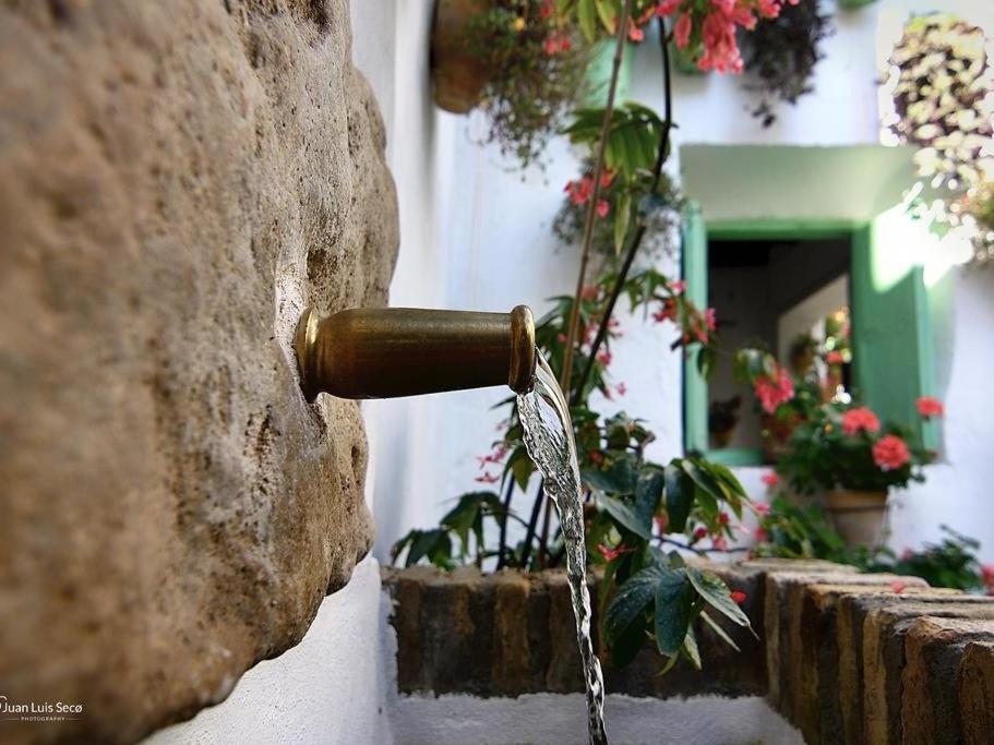 Apartmán La Casa De La Costurera Córdoba Exteriér fotografie